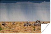 Poster Groep zebra's in het wild - 60x40 cm