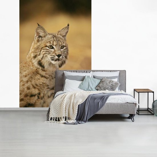 Papier peint - Papier peint photo Lynx - Marron - Herbe - Largeur 160 cm x hauteur 240 cm