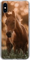 Coque iPhone Xs Max - Cheval - Lumière - Paysage - Coque de téléphone en Siliconen