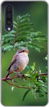 Geschikt voor Samsung Galaxy A50 hoesje - Vogel - Boom - Bos - Siliconen Telefoonhoesje