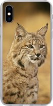 Geschikt voor iPhone Xs Max hoesje - Lynx - Bruin - Gras - Siliconen Telefoonhoesje