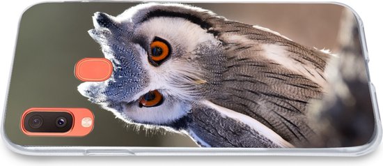 Coque Samsung Galaxy A20e - Hibou - Macro - Animal - Siliconen