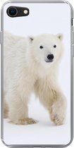 Geschikt voor iPhone 7 hoesje - IJsbeer - Sneeuw - Wit - Siliconen Telefoonhoesje