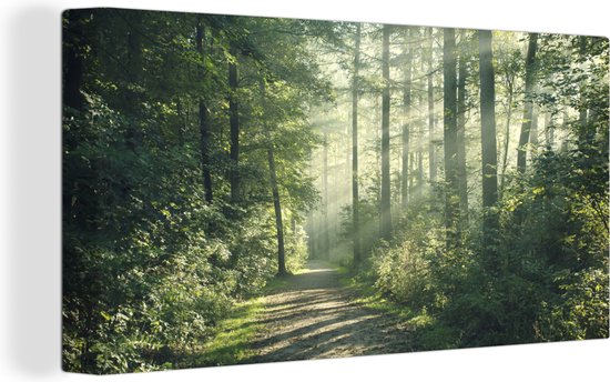 Toile Peinture Forêt - Chemin - Soleil - 160x80 cm - Décoration murale