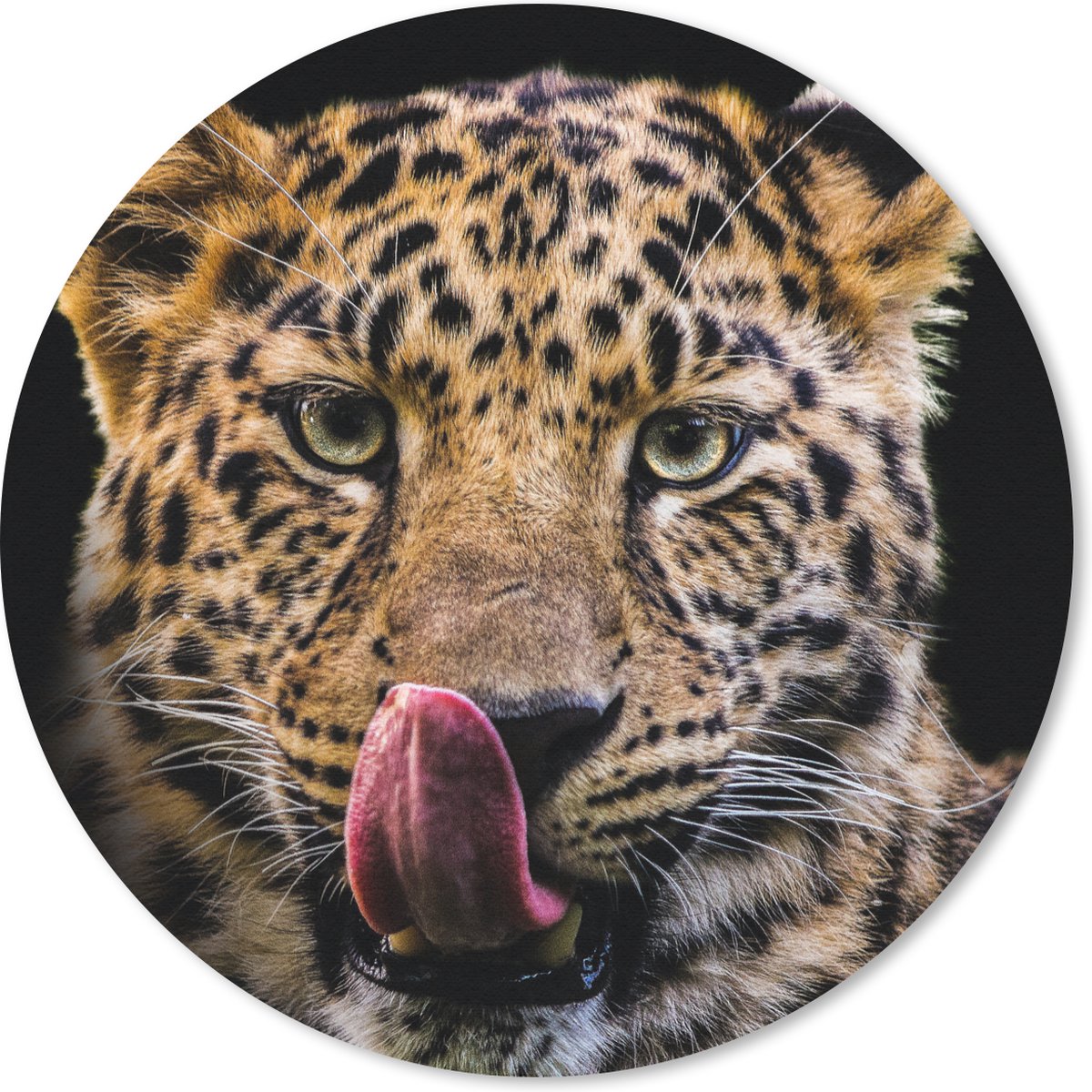Muismat rond 50x50 cm - Mousepad Luipaard - Zwart - Close up - Ronde muismatten