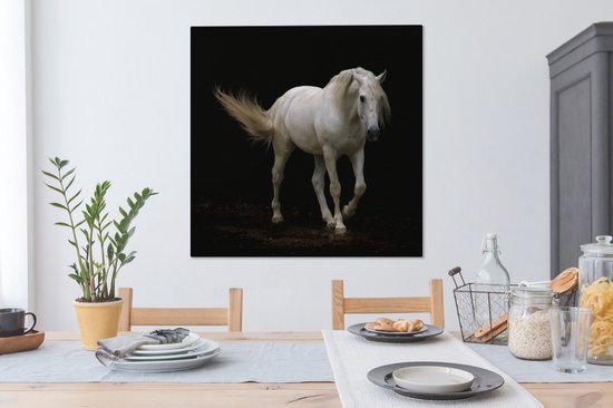 Cheval Wit devant une toile fond noir 2cm 90x90 cm - impression photo sur toile peinture Décoration murale salon / chambre à coucher) / Animaux sauvages Peintures Toile