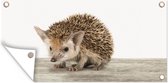 Affiche de jardin Hérisson - Animaux - Enfants - Garçons - Filles - 60x30 cm - Toile jardin - Affiche extérieure