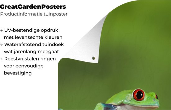 Poster de jardin Grenouilles - Branche - Vert - 40x80 cm - Décoration murale Outdoor - Poster jardin - Toile jardin - Poster clôture - Tableau jardin