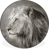 WallCircle - Wandcirkel - Muurcirkel - Leeuw - Wilde dieren - Zwart - Aluminium - Dibond - ⌀ 140 cm - Binnen en Buiten