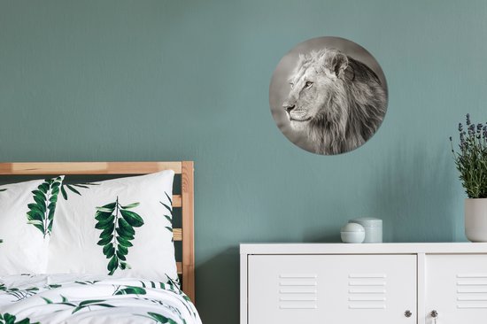 Lion regardant ailleurs cercle mural aluminium Aluminum 30 cm - impression photo sur cercle mural / cercle vivant / cercle de jardin (décoration murale)