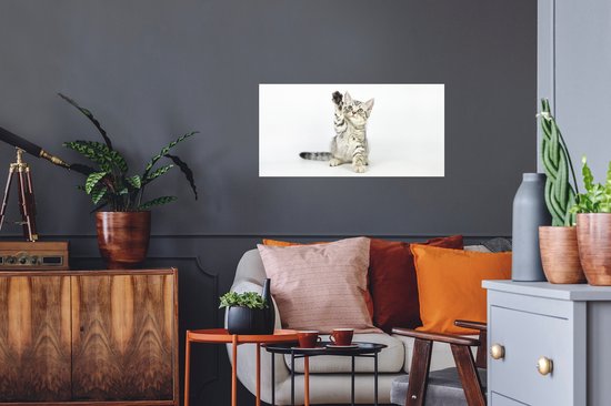 Stickers muraux - Chaton - Patte - Wit - 80x40 cm - Film Adhésif