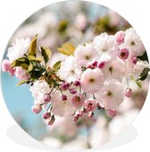 Cercle mural - Cercle mural Indoor - ⌀ 150 cm - Plastique - Fleurs - Fleur - Printemps