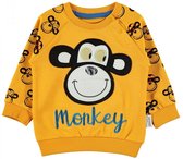 Baby/peuter sweater - Babykleding - Aap