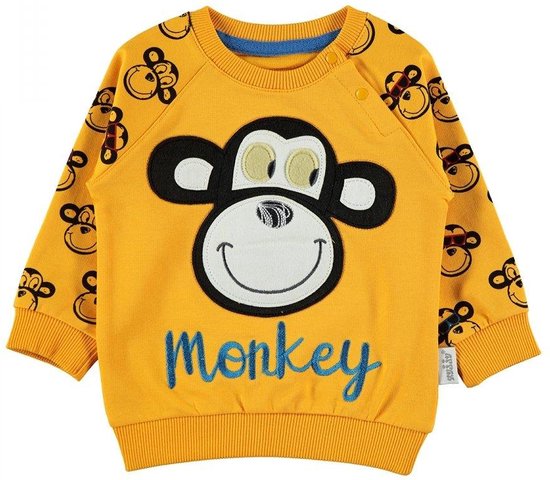 Baby peuter sweater Babykleding Aap bol