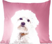 Sierkussen - Maltezer Hond Met Een Achtergrond - Multicolor - 40 Cm X 40 Cm