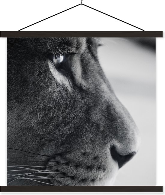 Porte-affiche avec affiche - Affiche scolaire - Lion profil animal en noir et blanc - 90x90 cm - Lattes noires