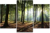 Trend24 - Canvas Schilderij - Stralen In Het Bos - Drieluik - Landschappen - 150x100x2 cm - Groen