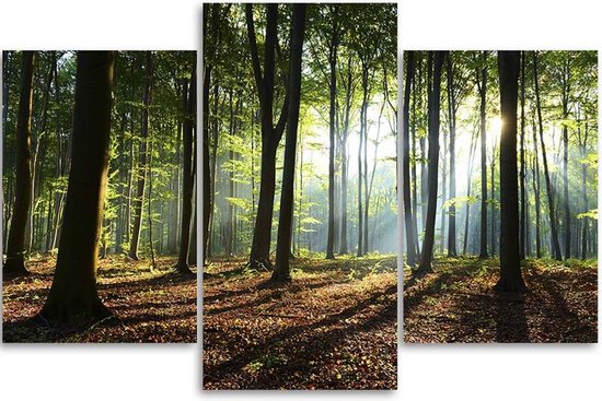 Trend24 - Canvas Schilderij - Stralen In Het Bos - Drieluik - Landschappen - Groen