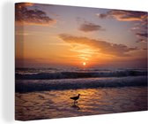 Canvas Schilderij Willet bij zonsondergang op het strand - 120x80 cm - Wanddecoratie