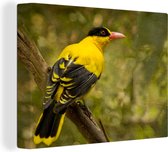 Peinture sur toile Jaune avec loriot noir sur une branche fine - 40x30 cm - Décoration murale