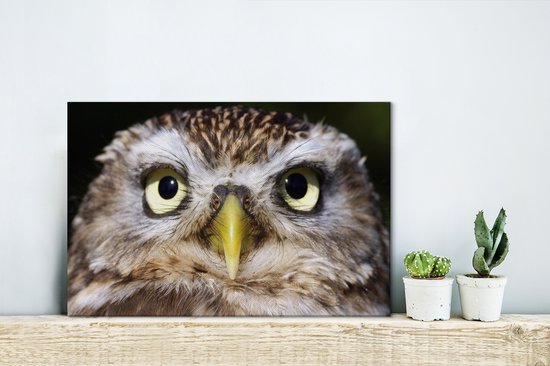 Tableau sur toile Gros plan d'un hibou marron - 30x20 cm - Décoration murale