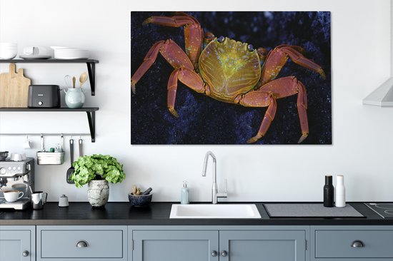 Canvas Schilderij Krab - Water - Dieren - 120x80 cm - Wanddecoratie