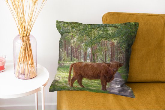 Sierkussen - Crapaud Highlander écossais - Multicolore - 45 Cm X 45 Cm