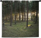 Wandkleed - Wanddoek - Boom - Zon - Gras - 60x60 cm - Wandtapijt