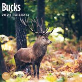 Bucks Kalender 2022