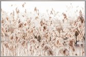 JUNIQE - Poster met kunststof lijst Wild Reeds -30x45 /Bruin & Ivoor