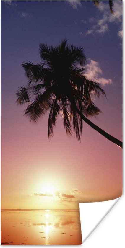 Poster Silhouet van palmbomen bij zonsondergang - 40x80 cm