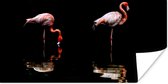 Poster Twee flamingo's staan in het water - 80x40 cm