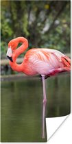 Poster Een flamingo staat op een poot in het water - 60x120 cm