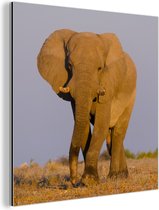 Wanddecoratie Metaal - Aluminium Schilderij Industrieel - Afrikaanse olifant in het zand - 20x20 cm - Dibond - Foto op aluminium - Industriële muurdecoratie - Voor de woonkamer/slaapkamer