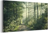 Wanddecoratie Metaal - Aluminium Schilderij Industrieel - Bos - Pad - Zon - Bomen - Groen - Natuur - 40x20 cm - Dibond - Foto op aluminium - Industriële muurdecoratie - Voor de woonkamer/slaapkamer