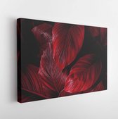 Bladeren van Spathiphyllum cannifolium, abstracte kleurrijke textuur, natuur achtergrond, tropisch blad - Modern Art Canvas - Horizontaal - 1539715187 - 40*30 Horizontal