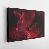 Bladeren van Spathiphyllum cannifolium, abstracte kleurrijke textuur, natuur achtergrond, tropisch blad - Modern Art Canvas - Horizontaal - 1539715187 - 50*40 Horizontal
