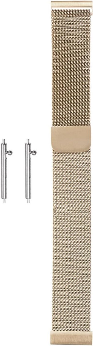 Allecto plus - Snelwissel mesh horlogebandje 22 mm, roestvrij staal, magnetische sluiting - champagnegoud.