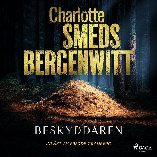 Beskyddaren - cover