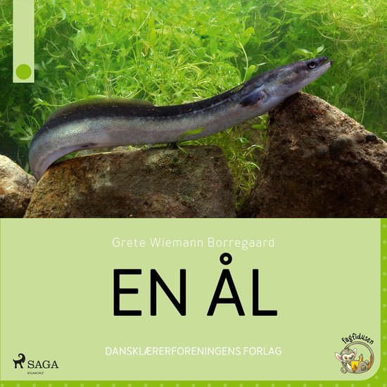 En ål - cover