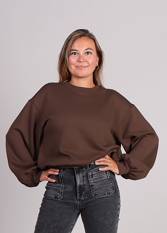 MSCH Copenhagen MSCHBrionna Ima Q sweater bruin