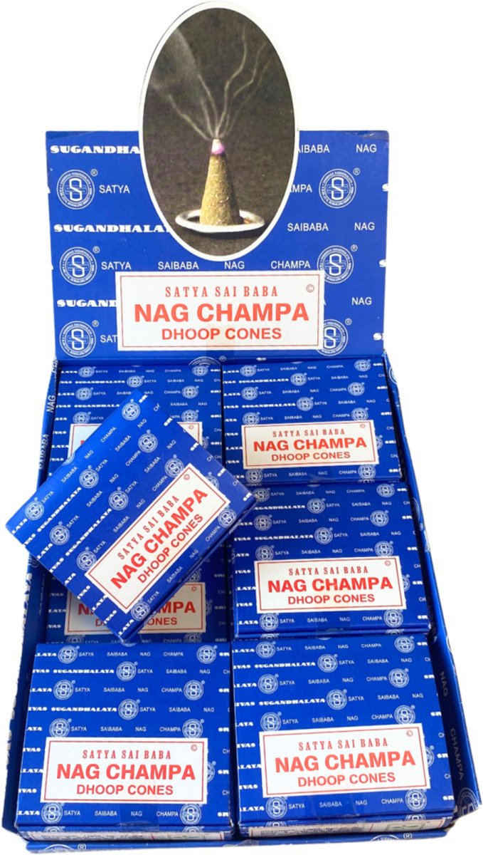 Ruben Robijn Nag Champa wierook kegels - Satya - doos van 12 st. Blauw