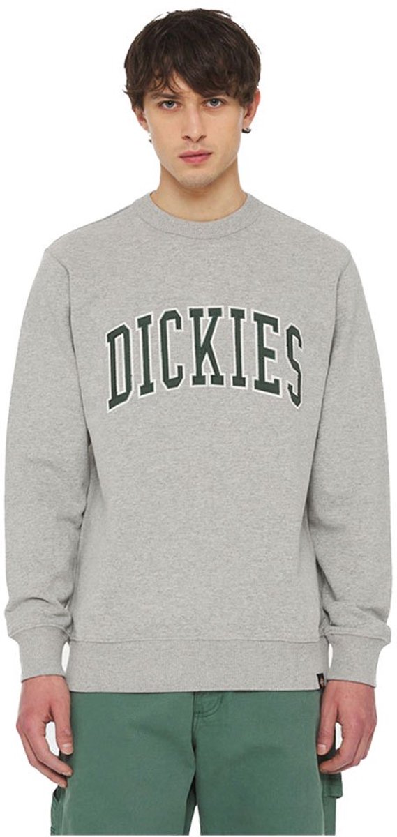 Dickies Aitkin Sweatshirt XL Man Grijs