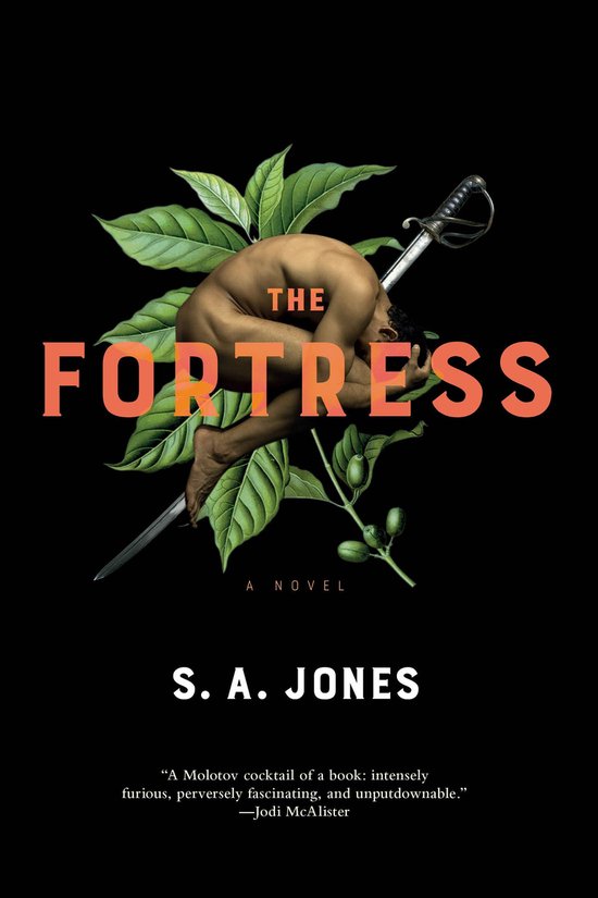 The Fortress - cover