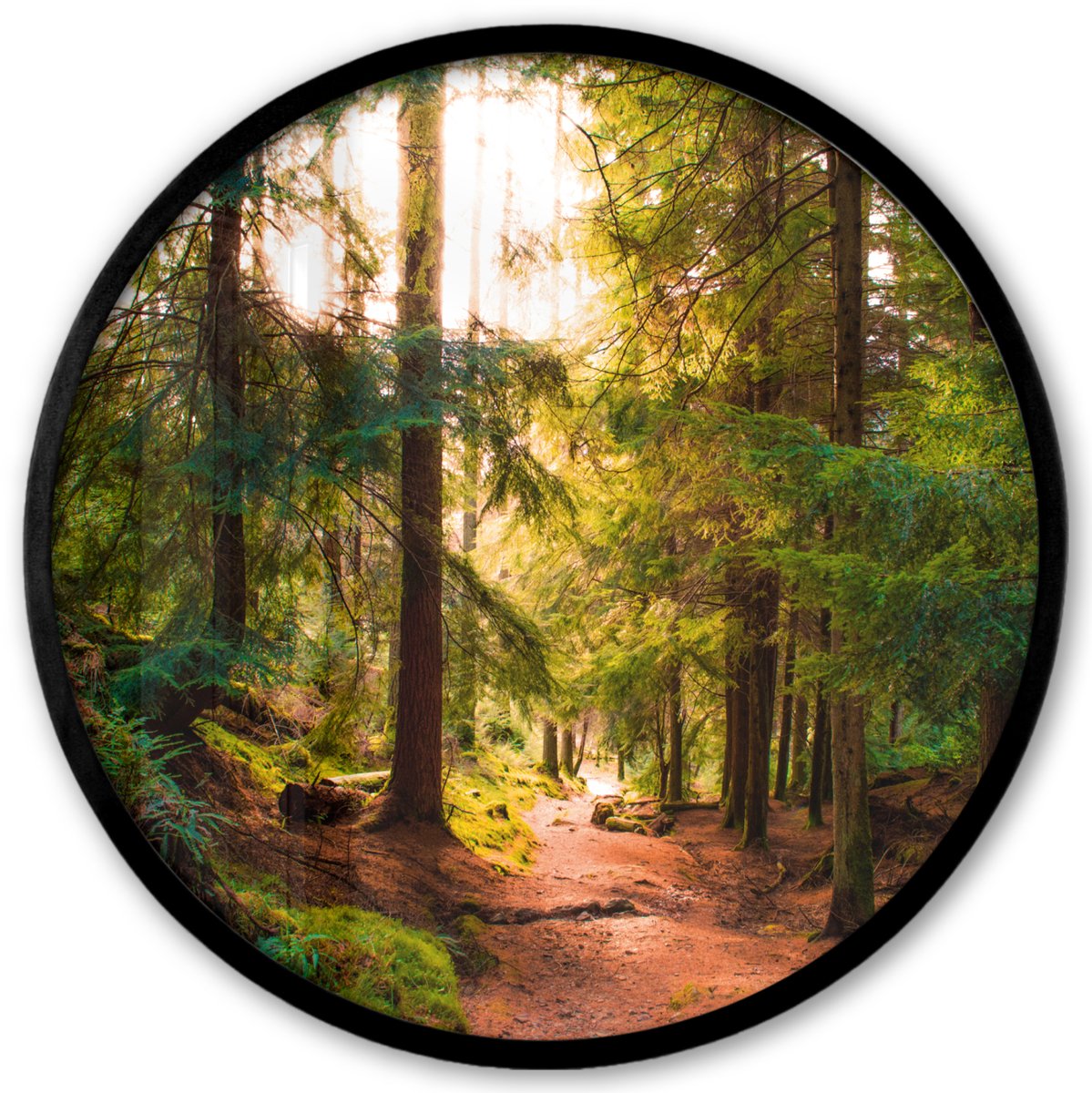FrameYourWall Poster in lijst Rond - Fotolijst 40x40 cm - Posters - Bos - Pad - Bomen - Groen - Zon - Natuur - Ronde posterlijst zwart - Decoratie - Wanddecoratie woonkamer - Muurdecoratie slaapkamer Bos - Donker