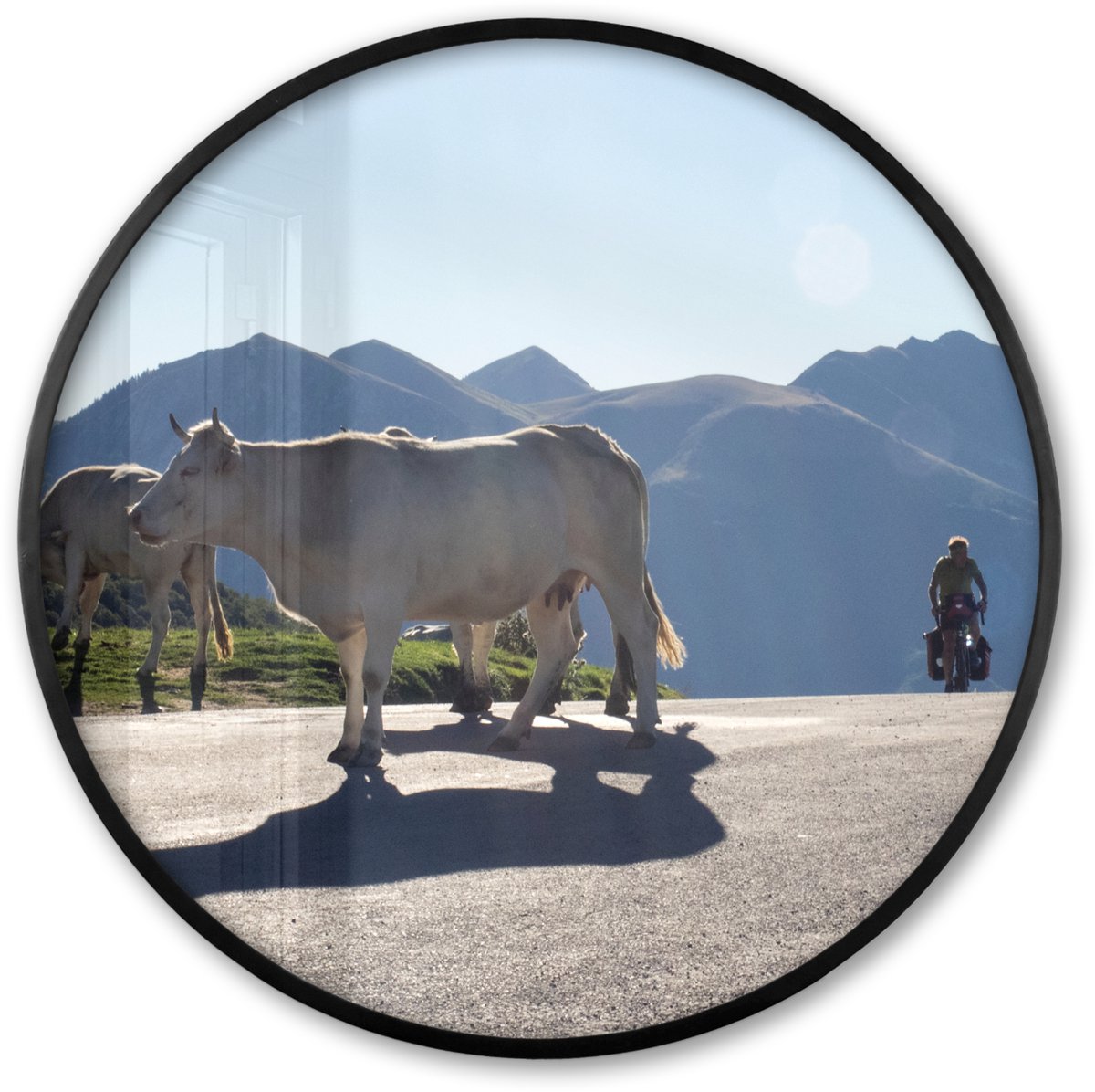 FrameYourWall Poster in lijst Rond - Fotolijst 60x60 cm - Posters - Schotse hooglander - Licht - Berg - Natuur - Ronde posterlijst zwart - Decoratie - Wanddecoratie woonkamer - Muurdecoratie slaapkamer Koe - Bergen