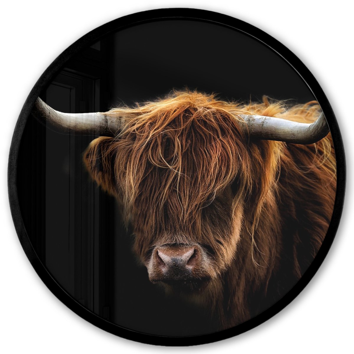 FrameYourWall Poster in lijst Rond - Fotolijst 40x40 cm - Posters - Schotse Hooglander - Horens - Zwart - Dieren - Natuur - Wild - Koe - Ronde posterlijst zwart - Decoratie - Wanddecoratie woonkamer - Muurdecoratie slaapkamer