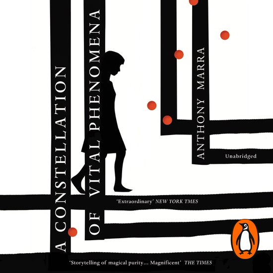 A Constellation of Vital Phenomena - cover