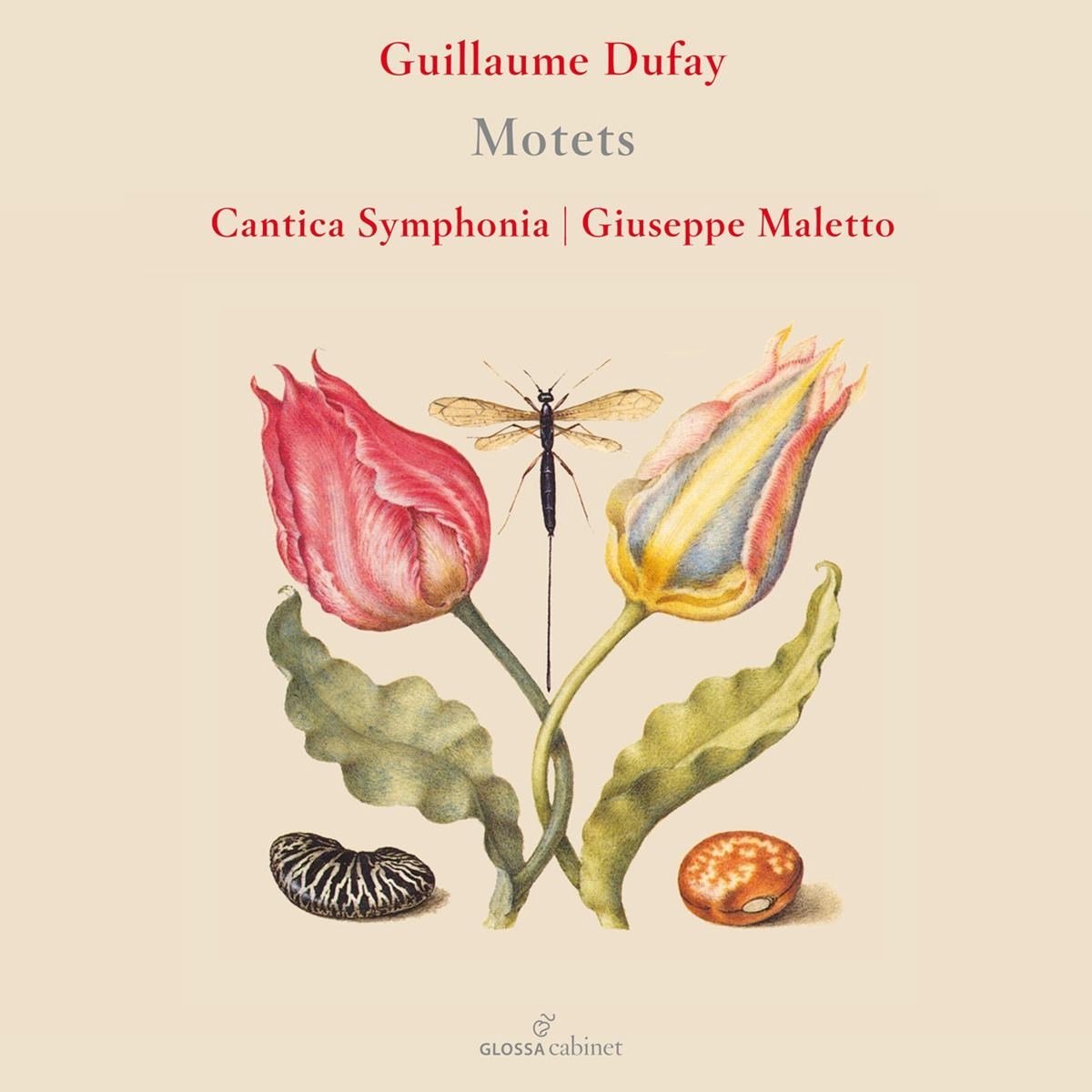 Cantica Symphonia - Guillaume Dufay: Motets (CD)