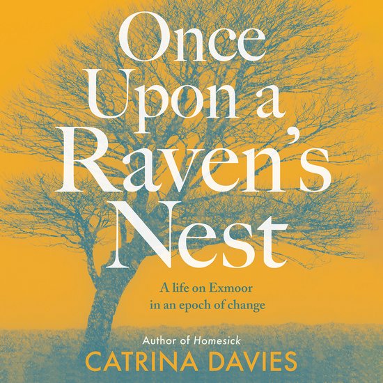 Once Upon a Raven's Nest - cover